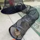 Cat enjoying the tunnel